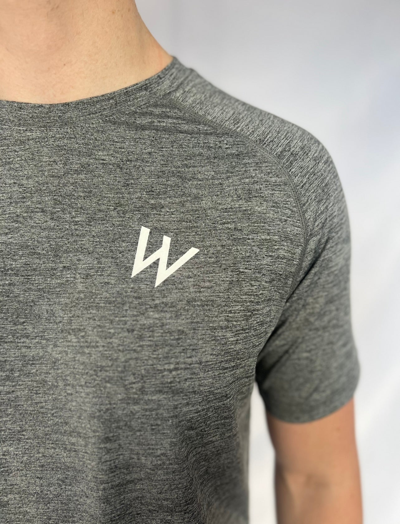 SS24 Perform T-Shirt (Stone Grey) image 1